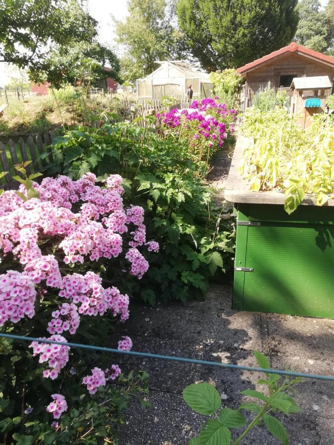 Einzigartige Naturoase Im Sueden Von Ingolstadt Brautlach エクステリア 写真