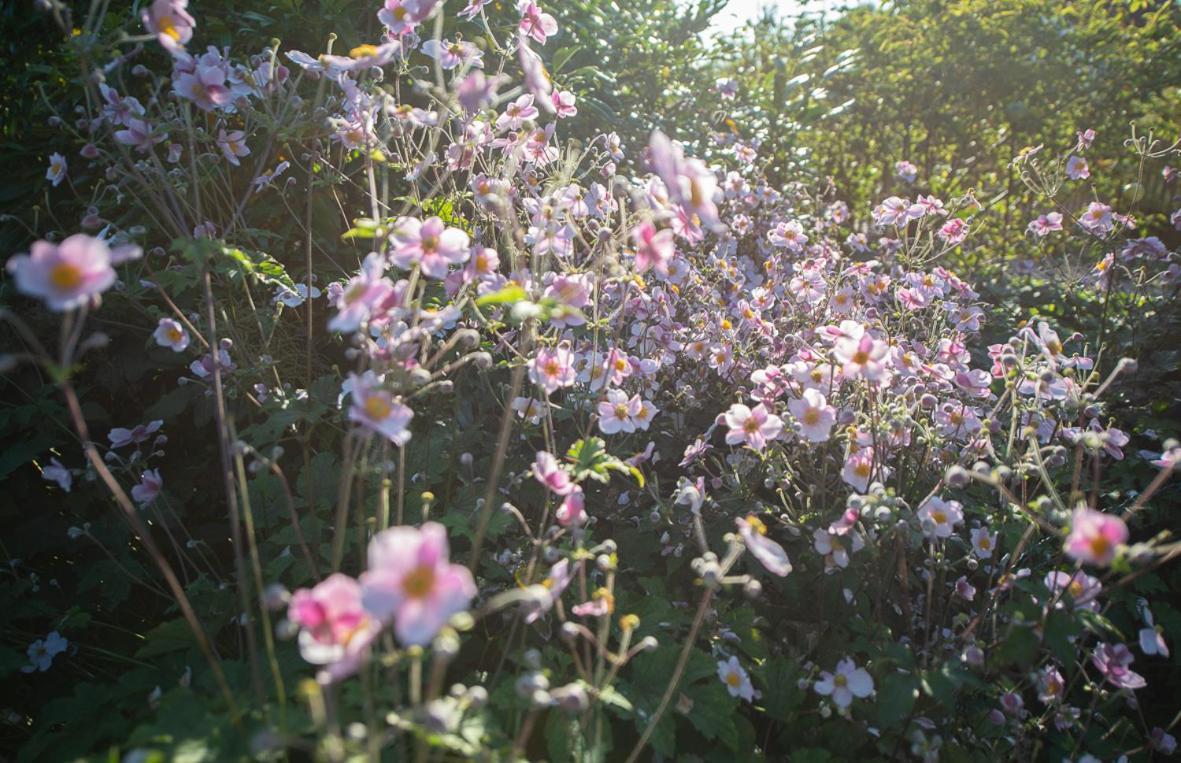 Einzigartige Naturoase Im Sueden Von Ingolstadt Brautlach エクステリア 写真